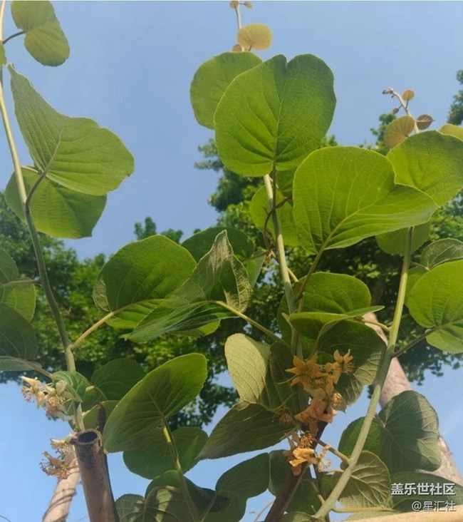 【春日限定】家鄉(xiāng)春景