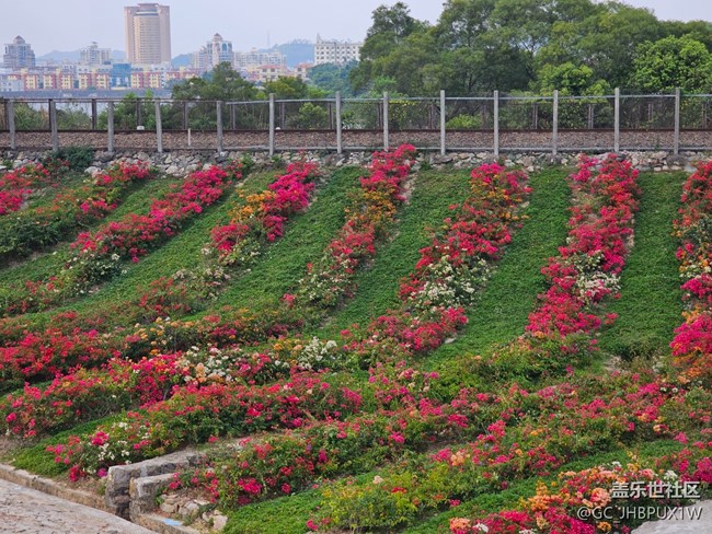 【春日限定】感受好春光
