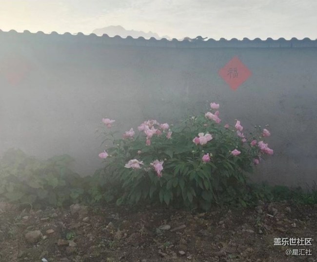 【春日限定】家鄉(xiāng)春景