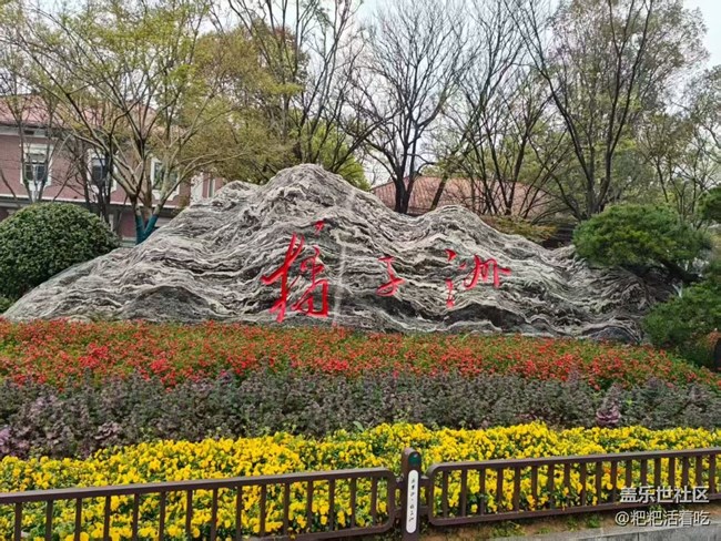 【春日限定】橘子洲