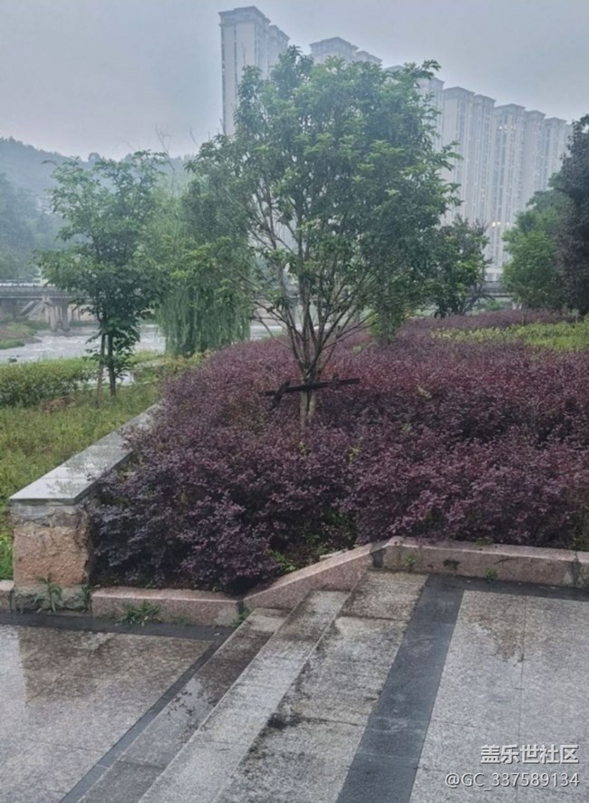 【春日限定】雨天公園