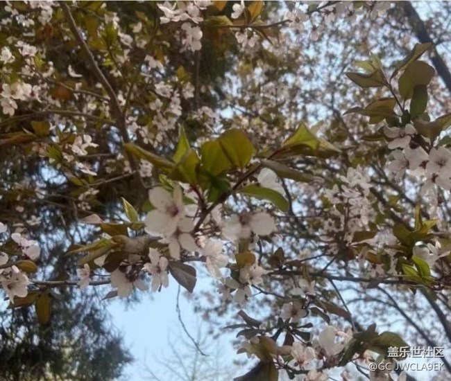 【春日限定】春日公園