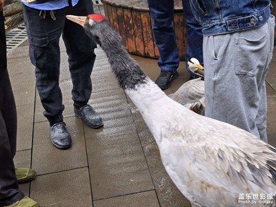 【春光里】小樂趣