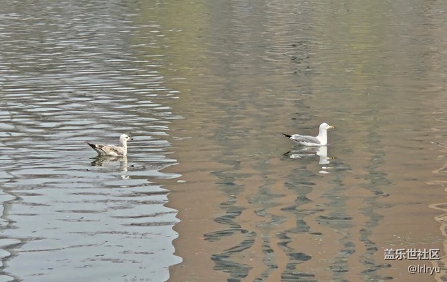 【折疊屏手機(jī)里的春天】春日點(diǎn)滴