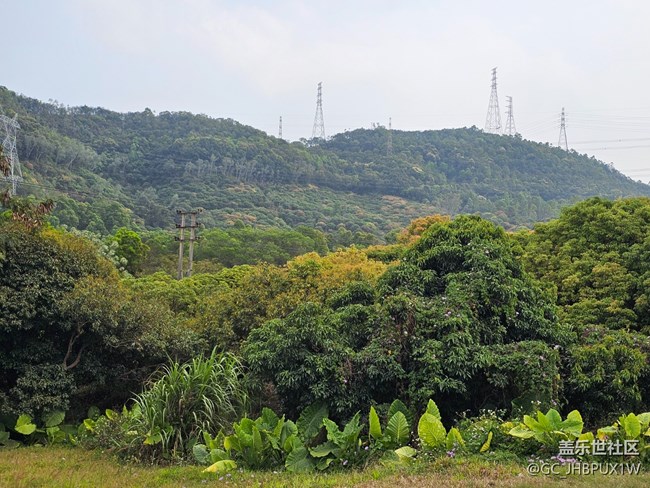 【折疊屏手機里的春天】假期