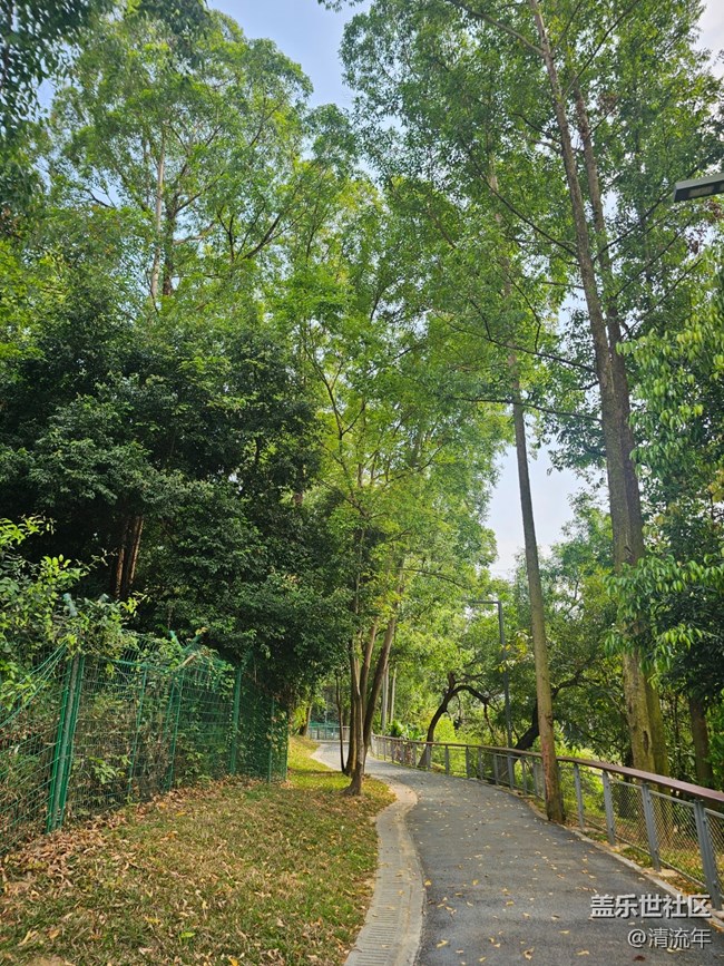 【折疊屏手機(jī)里的春天】春天散步