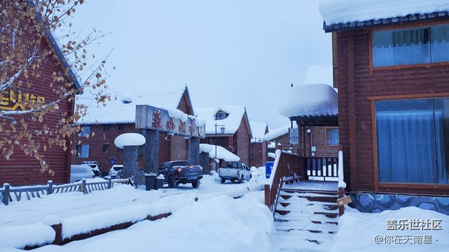 好喜歡禾木村啊