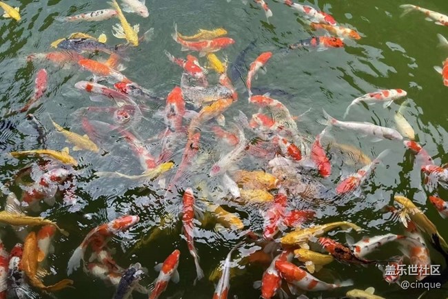 【途有春光】出去玩