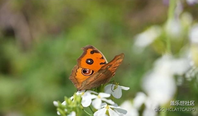 【途有春光】春色滿園