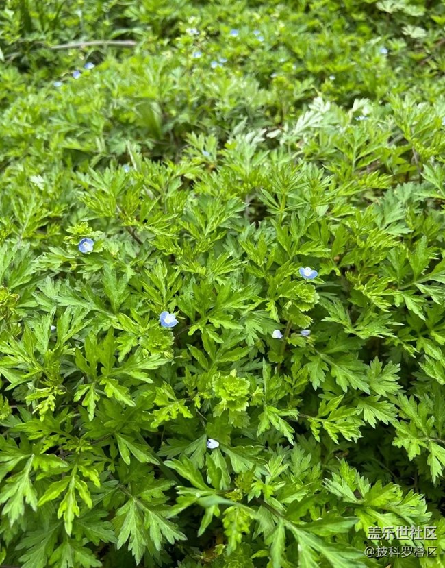 【途有春光】春日之約