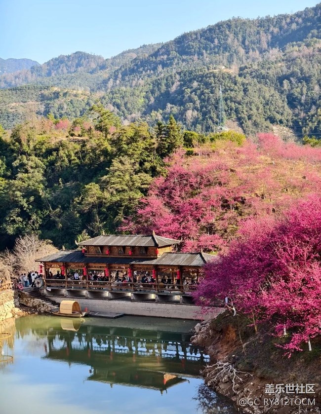 【途有春光】櫻花園