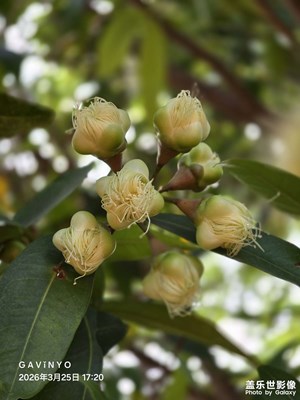 【春光里】時光寫給春天的情詩