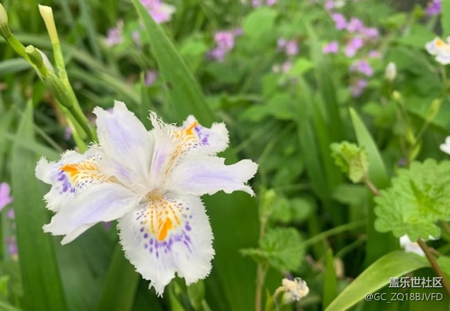 【途有春光】戶外賞花