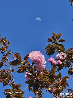 【鏡藏萬象】春