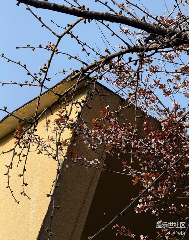 【途有春光】鳥語花香