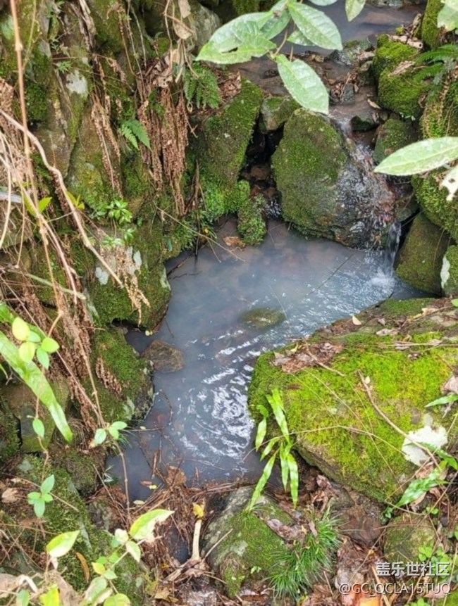 【途有春光】鍛煉