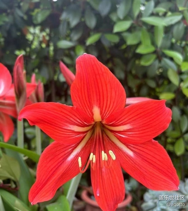 【途有春光】春花盛開