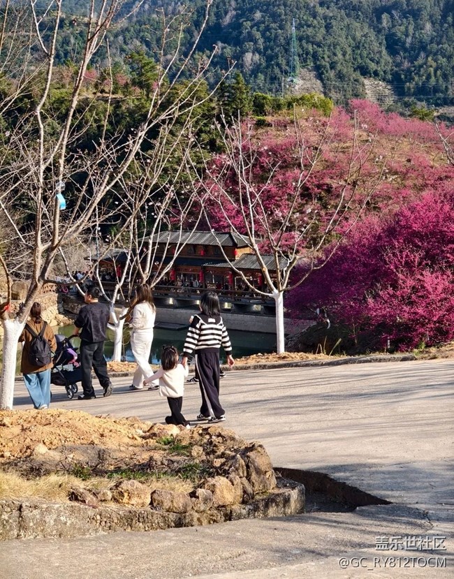 【途有春光】櫻花園