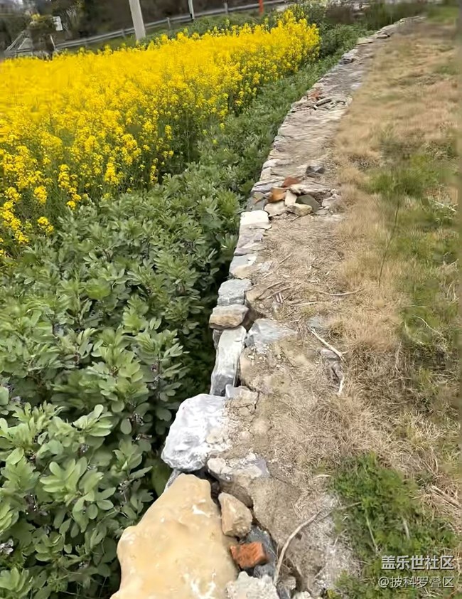 【途有春光】春日之約