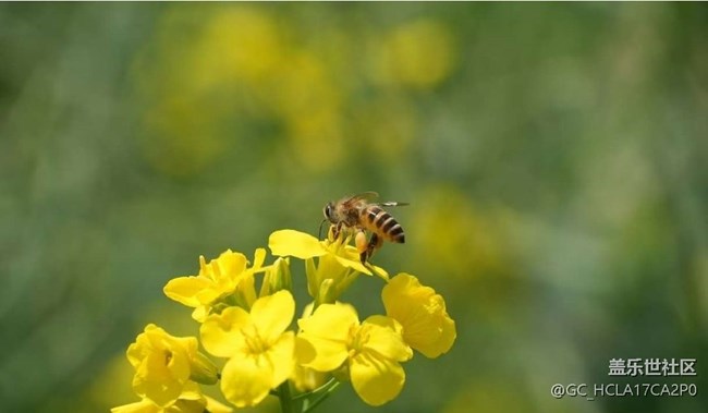 【途有春光】春色滿園