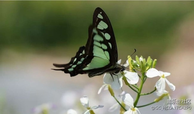 【途有春光】春色滿園