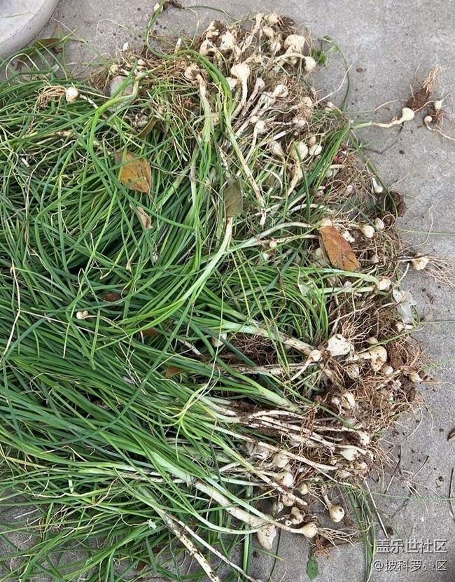 【途有春光】春日之約