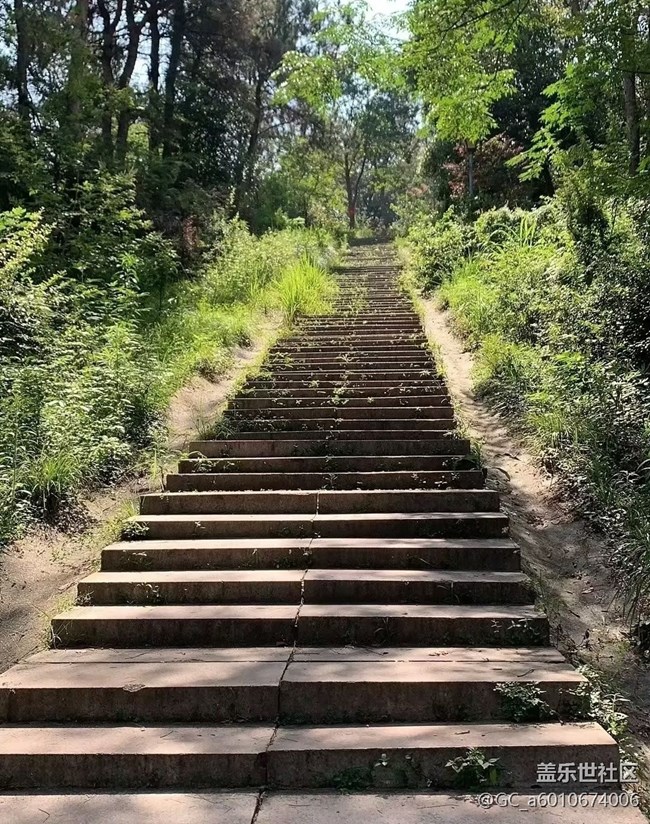 【途有春光】爬山