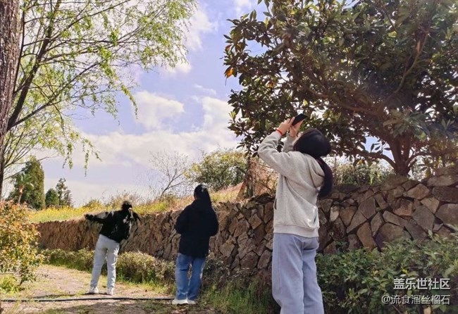 【途有春光】踏青去