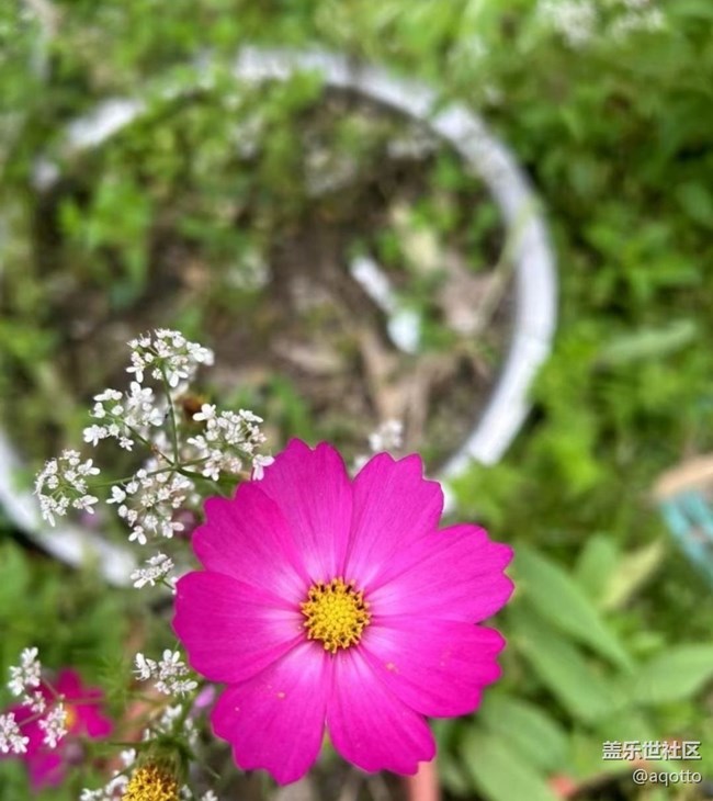 【途有春光】春花盛開