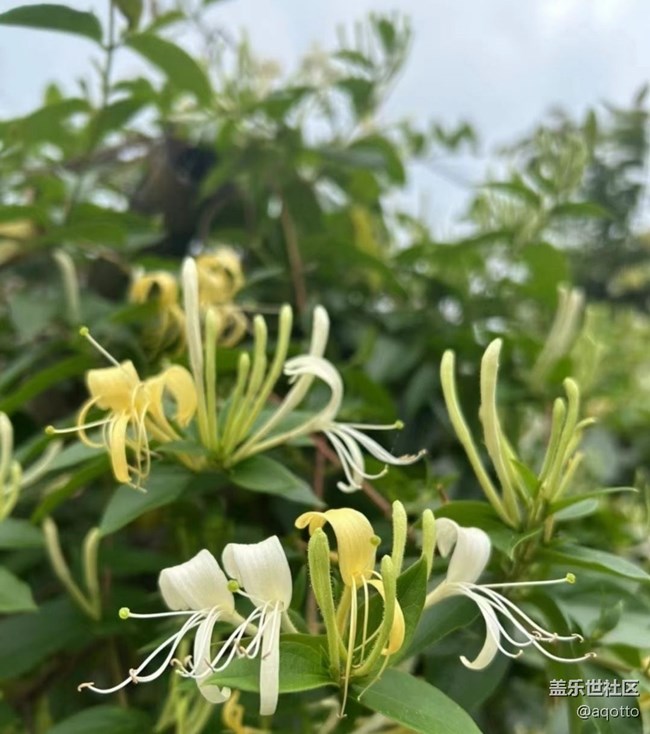 【途有春光】春花盛開