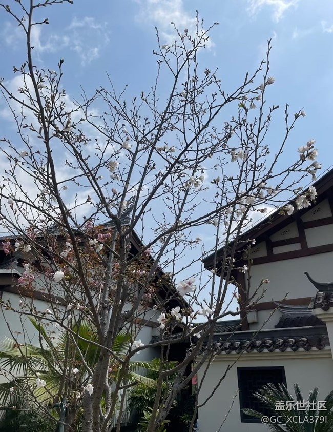 【途有春光】春色無邊