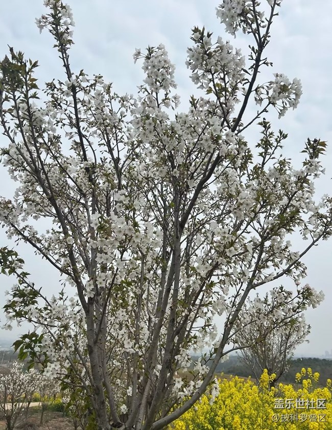 【途有春光】春日之約