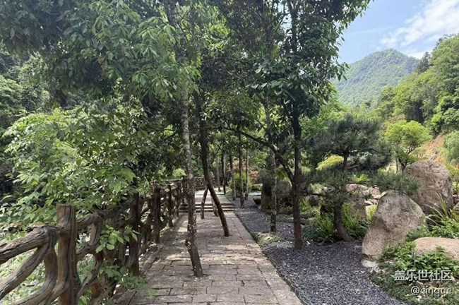 【途有春光】出去玩