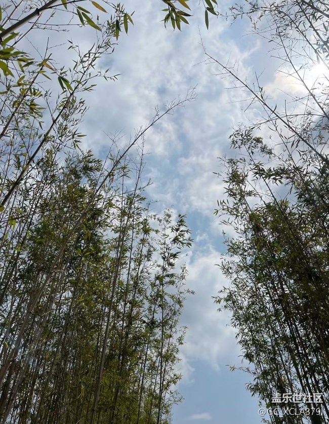 【途有春光】春色無邊