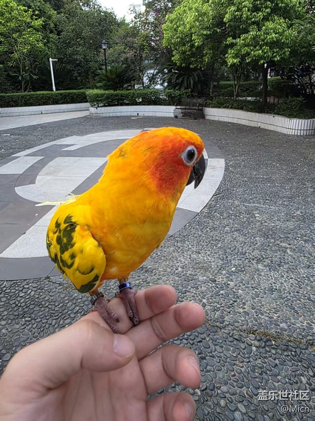 萌寵登場(chǎng)