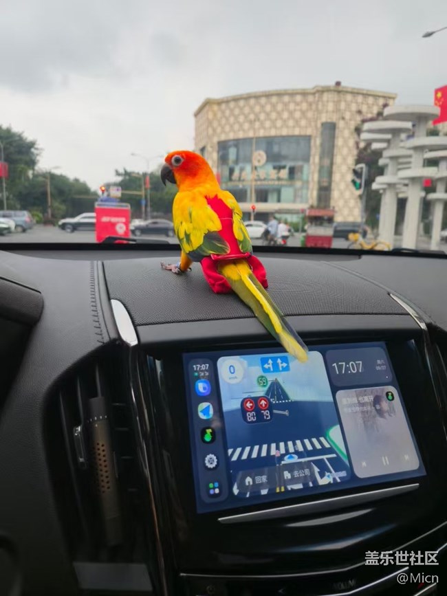 初九登場（剛到家跟一年后的樣子）