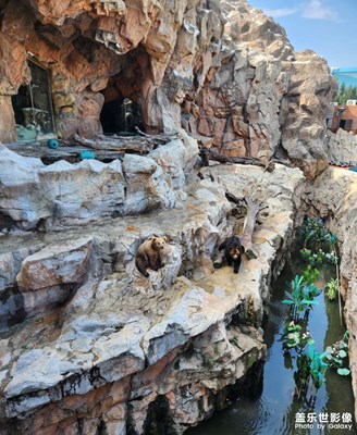 【鏡藏萬象】熊熊樂園