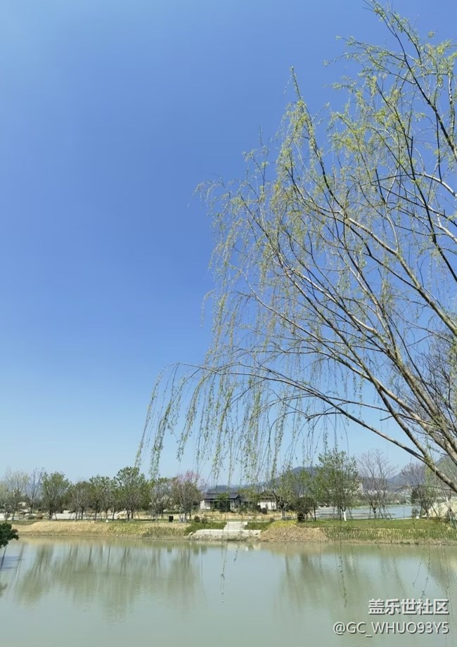 【途有春光】踏春