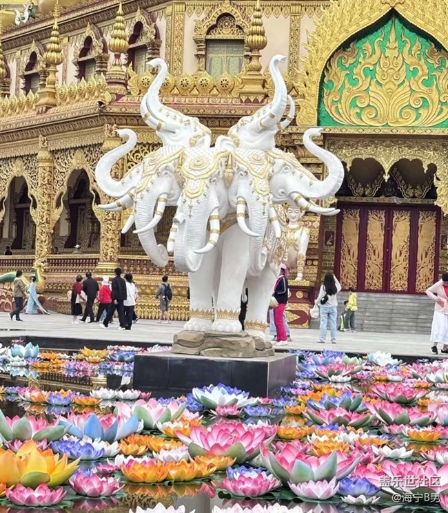 【途有春光】西雙版納