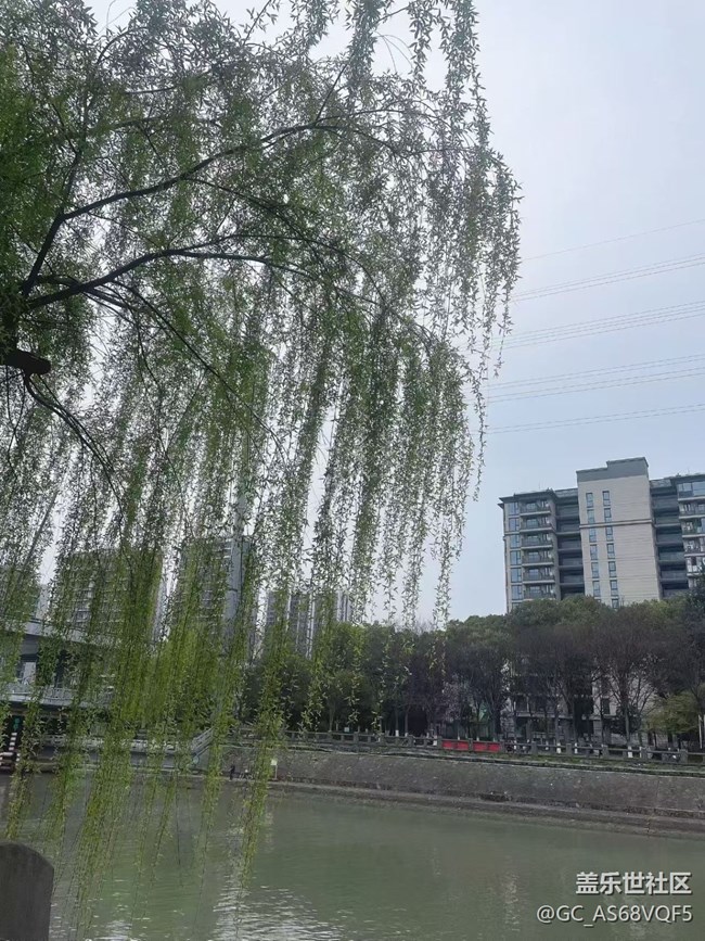 【途有春光】路上的風(fēng)景