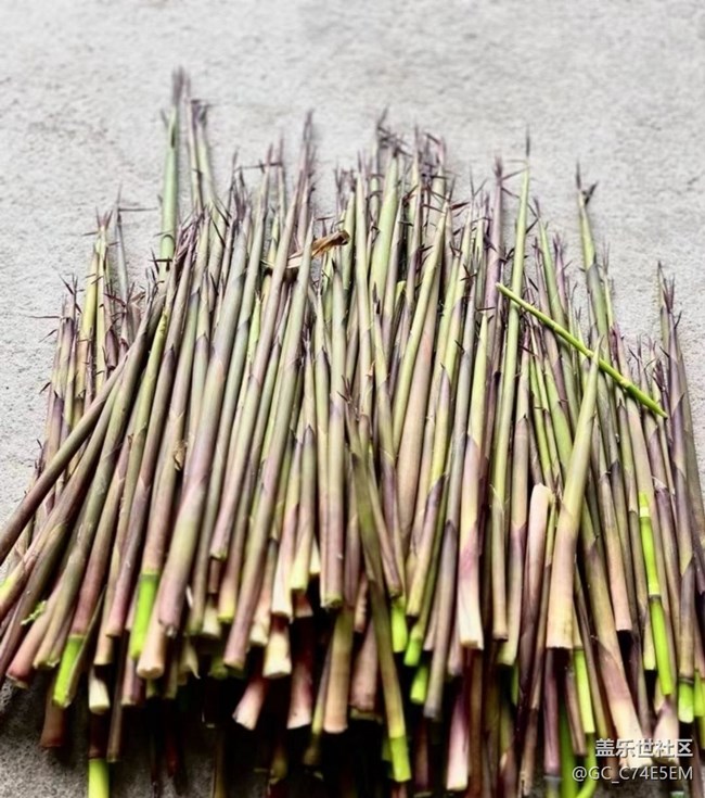 【途有春光】山珍