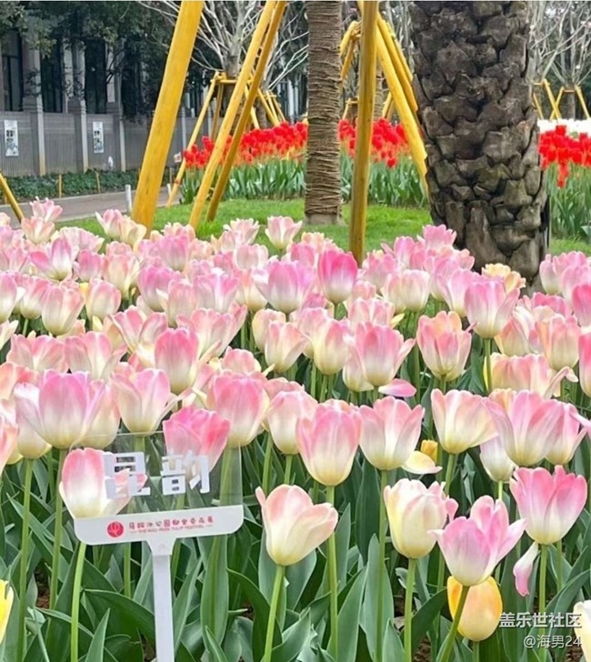 【途有春光】賞郁季