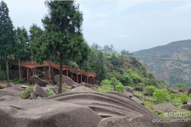 【途有春光】看山