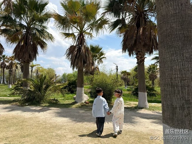 【途有春光】蒼山洱海