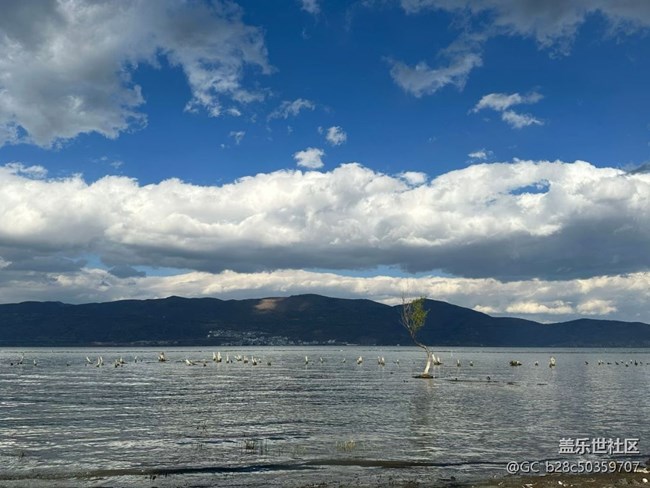 【途有春光】蒼山洱海