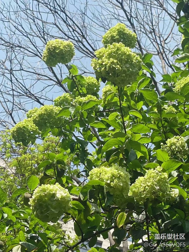 【途有春光】路上的風(fēng)景