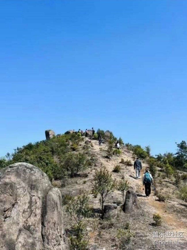 【途有春光】登頂