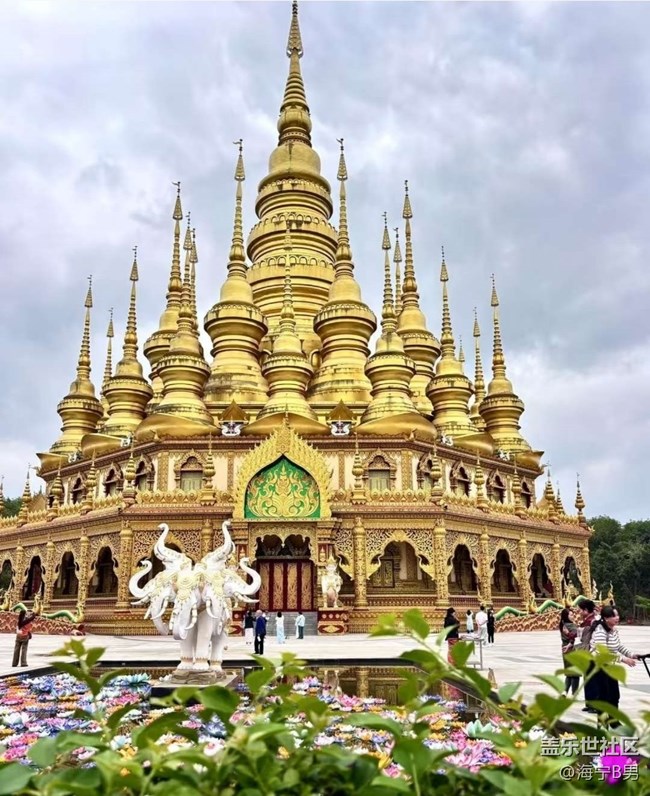 【途有春光】西雙版納