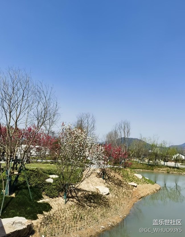 【途有春光】踏春