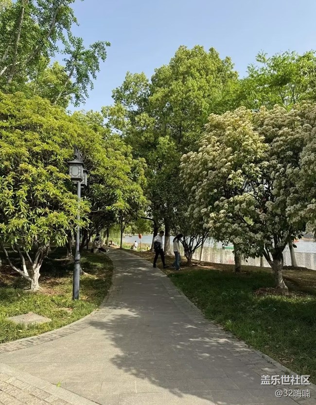 【途有春光】游湖